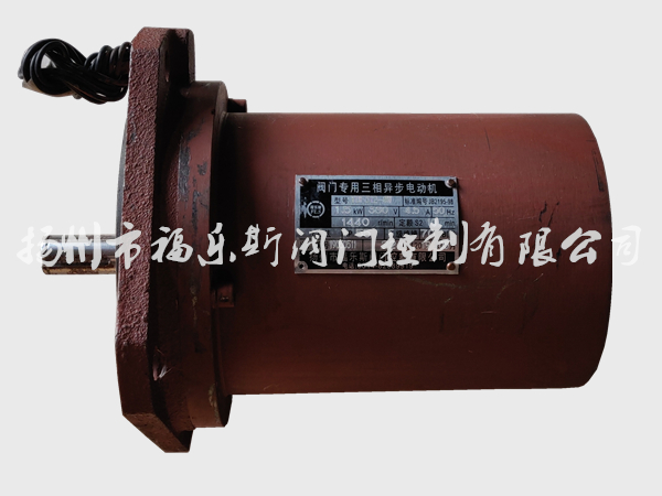 電動執(zhí)行器電機